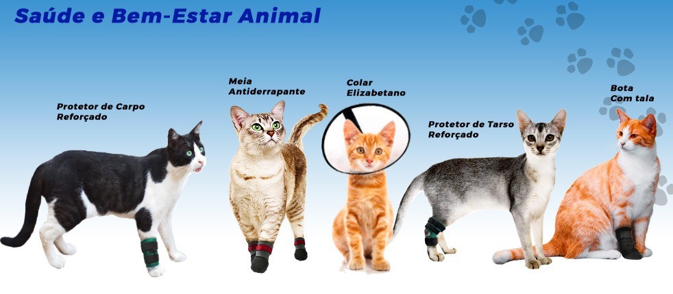 Produtos Para Gatos