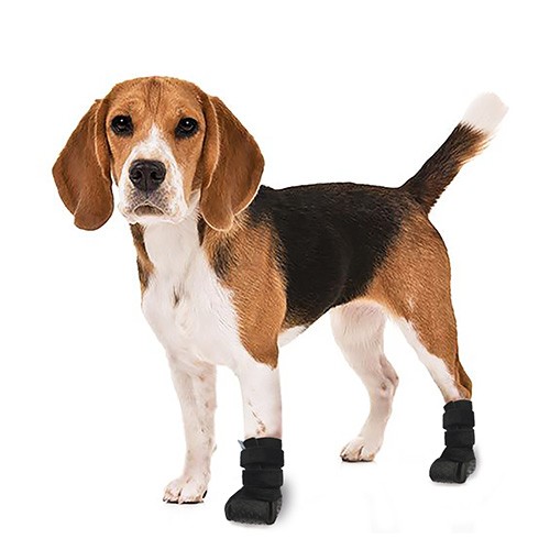 Bota Veterinária Cano Baixo (Curto) com Tala - Cães e Gatos