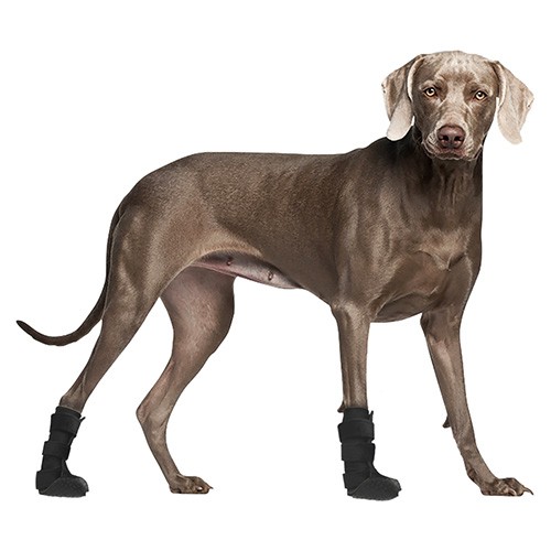 Bota Veterinária Cano Médio com Tala - Cães e Gatos