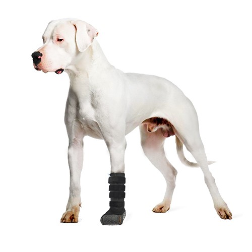 Bota Veterinária Longa (Alta) com Tala - Cães e Gatos