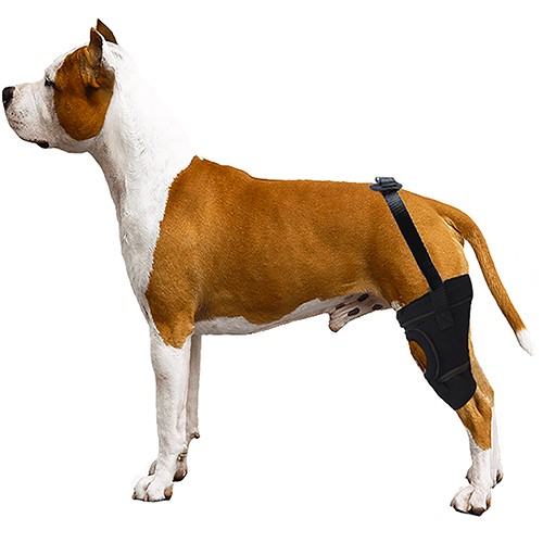 Joelheira Especial para Cães e Gatos (Linha PRATI)
