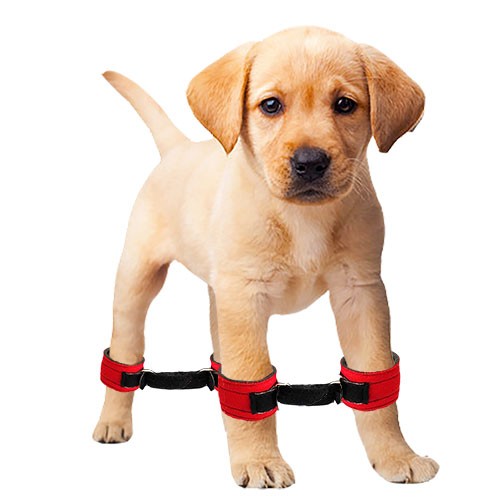 Algemas para Síndrome do Cão Nadador