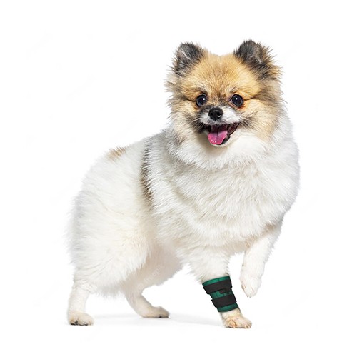 Protetor de Punho Reforçado com 3 Talas para Cães e Gatos (Carpo DUO) - PATA CURTA