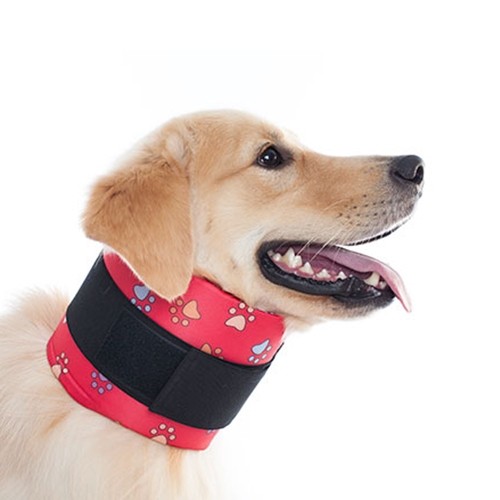 Colar Cervical para Cães e Gatos