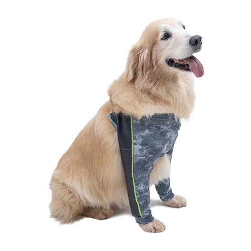 Cotoveleira para Cães - Protetor para Higromas