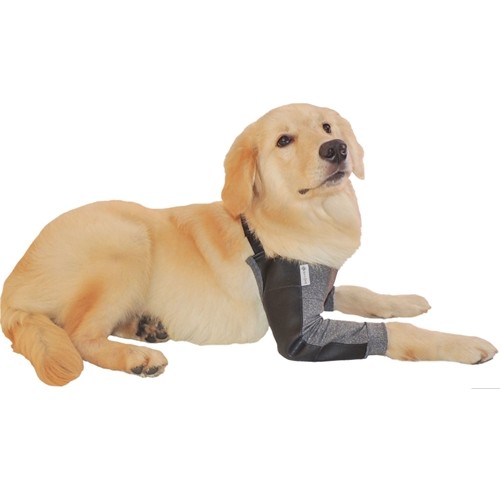 Cotoveleira para Cães - Protetor para Higromas