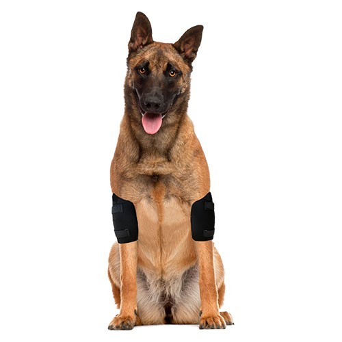 Cotoveleira Bilateral para Cães (Protetor para Higroma)
