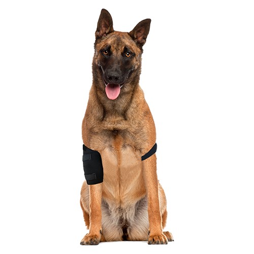 Cotoveleira Unilateral para Cães (Protetor para Higroma)