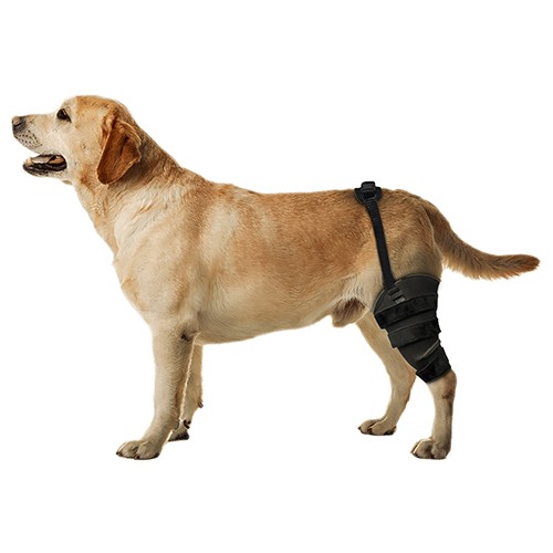 Joelheira Ajustável para Cães e Gatos (Linha PADRÃO)