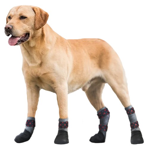 Meia Antiderrapante Mista para Cães (2 Curtas + 2 Longas)