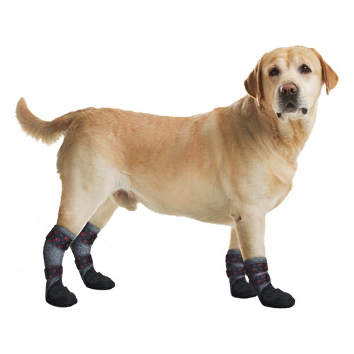Meia Antiderrapante Longa para Cães (Reabilitação)