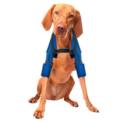 Órtese de Ombros para Cães e Gatos - Bilateral