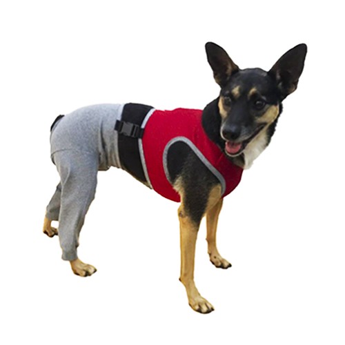 Protetor de Patas Traseiras para Cães com Meias