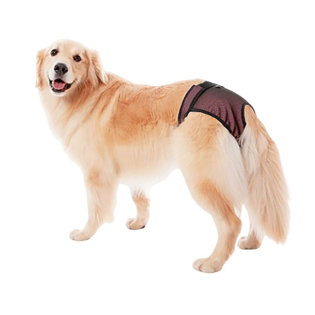 Fralda Absorvente Reutilizável para Cães Fêmeas