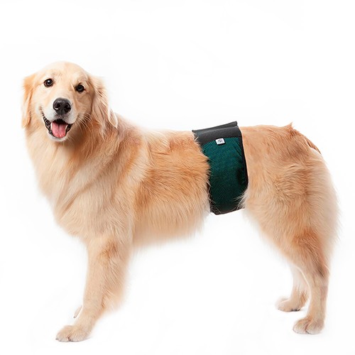 Fralda Absorvente Reutilizável Para Cães Machos