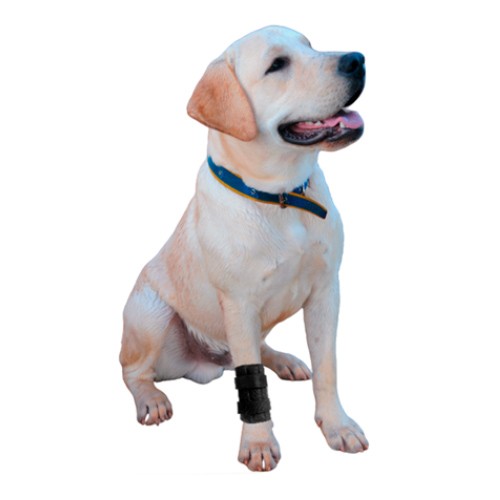 Protetor de Punho Com Tala para Cães e Gatos (Carpo)