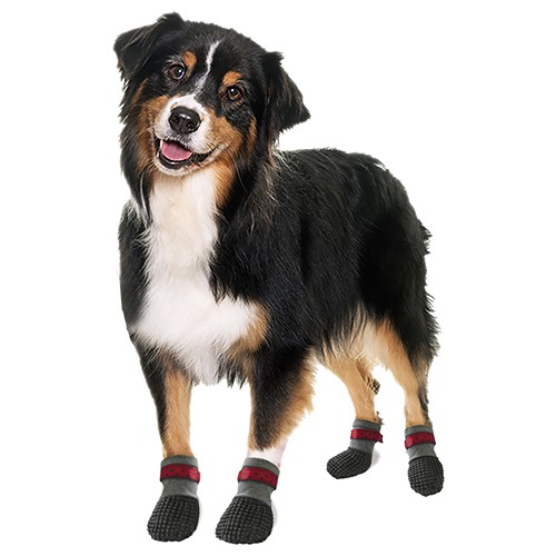 Meia Antiderrapante Curta para Cães (Reabilitação)