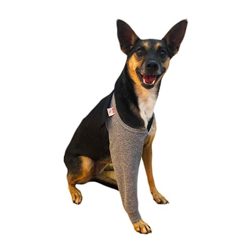 Protetor de Pata Dianteira Cães e Gatos - Individual (LEG)