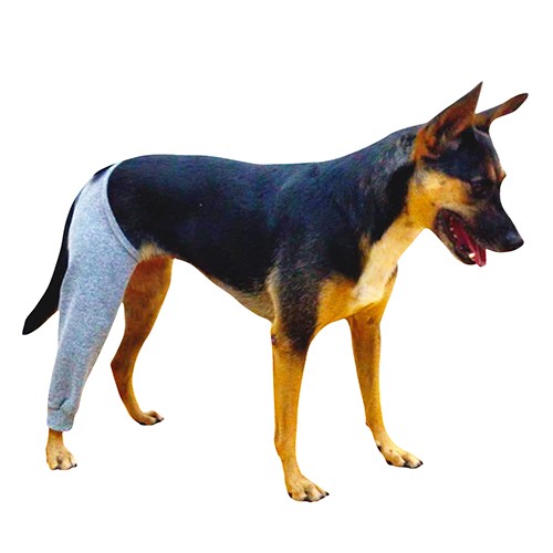 Protetor de Pata Traseira Cães e Gatos - Individual (LEG)