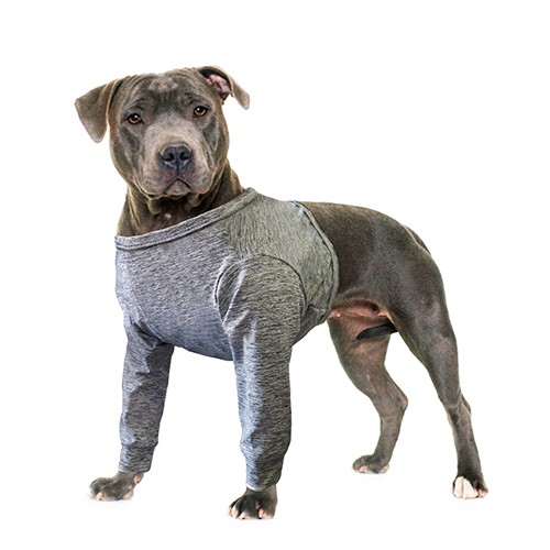 Protetor de Peito e Patas Dianteiras para Cães e Gatos