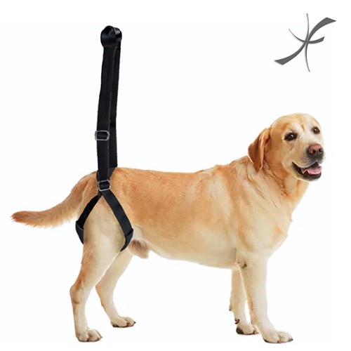 Suporte para Peito ou Quadril para Cães