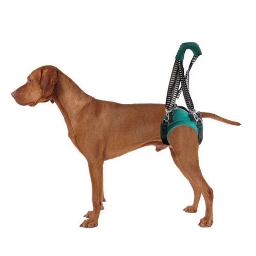Suporte de Quadril em "8" para Cães e Gatos