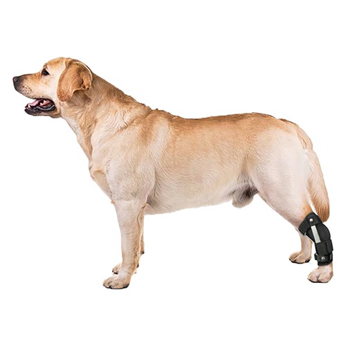 Protetor de Tornozelo Hiperflexão Talas Externas para Cães e Gatos (Tarso) - Linha Prati