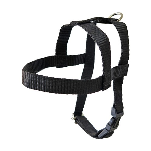 Peitoral de Nylon Com Guia